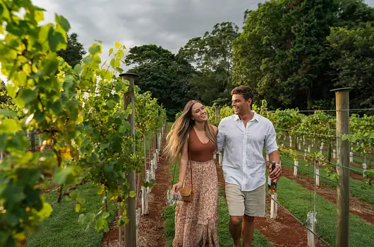 Explore local wineries and vineyards