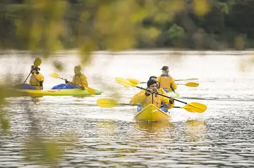 lake karapiro guided canyon kayak tours