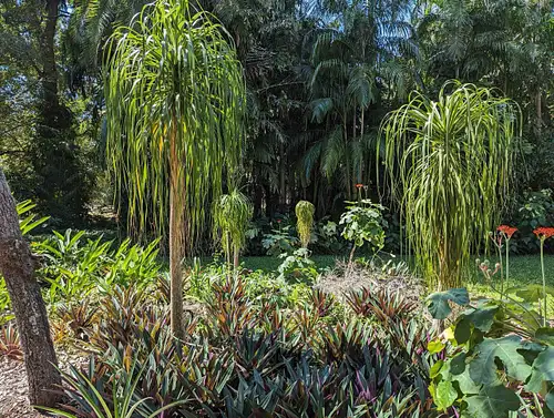 Private 5-Hour Tropical Gardens & Darwin Sightseeing Tour