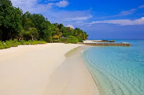 Male