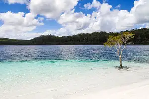 13 Day North Queensland Adventure | Intrepid Travel