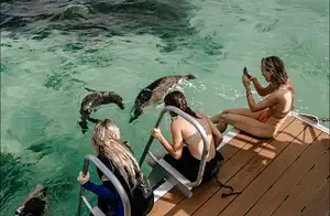 Jurien Bay Marine Park Experience