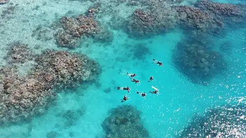 Outer Reef Guided Snorkelling from Port Douglas  - Maximum 12 people