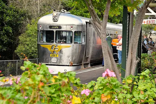 Silver Bullet High Tea Shared Experience - Departs Fridays Gympie to Dagun (Return)
