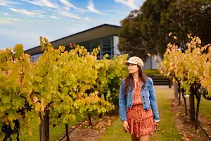barossa tours from adelaide