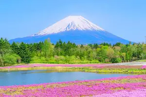 1-day Tour To Mount Fuji, Oshino Hakkai | With Outlets Or Hot Springs