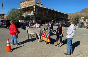 historic oatman and route 66 tours